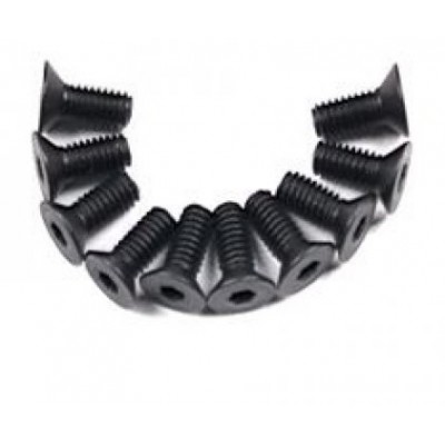 �˾���ũ THJ342 [Traction Hobby] THJ342 M2.5x6mm Flat Screw (10pcs)