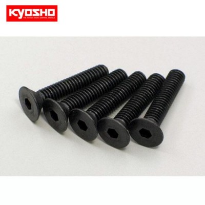 �˾���ũ KY1-S34020H [KYOSHO] Flat Head Screw(Hex/M4x20/5pcs)