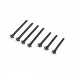 [TEAM LOSI] Inner Outer Hinge Pin Screw Set V100