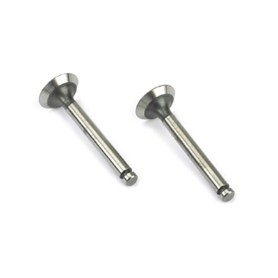 �˾���ũ SAI30S46 [Saito] Valve (In & Out) FA-40