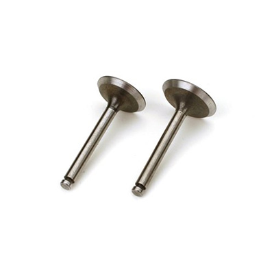 �˾���ũ SAI5646 [Saito] Valve(in&out) for FA-56