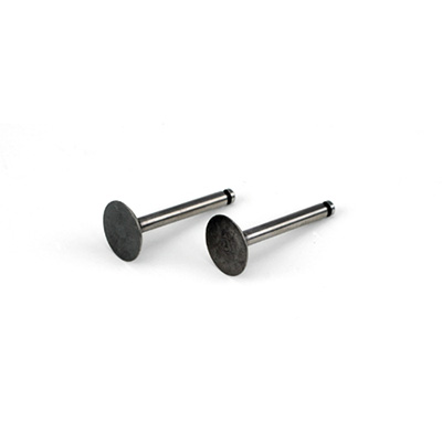 �˾���ũ SAI62A46 [Saito] Valve (in & out) for FA-62