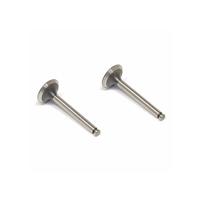 �˾���ũ SAI6546 [Saito] Valve (in & out) for FA-62, FA-72