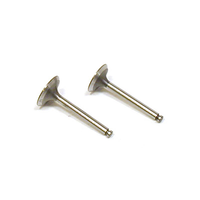 �˾���ũ SAI10046 [Saito] Valve (in & out) for FA-100