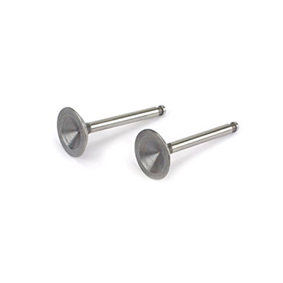 �˾���ũ SAI120S46 [Saito] Valve (in & out) for FA-150S