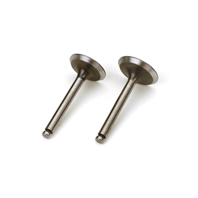 �˾���ũ SAI125A46 [Saito] Valve (In & Out) for FA-125
