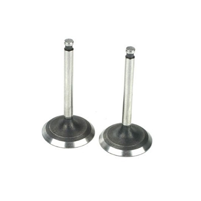 �˾���ũ SAI220A46 [Saito] Valve (In & Out) for FA-220