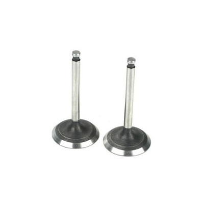 �˾���ũ SAIG3646 [Saito] Valve (in & out) for FG-36, FG-40