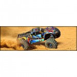 [Traxxas] ̵ƽ ( ü,  Ÿ̾) ο ÷ RNR