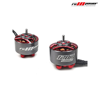 [�˾���ũ]  RCINPOWER GTS V2 1207 5000KV ���� (1pcs, �Ǹ�Ż)