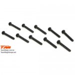 [TEAM MAGIC] 2x12mm BH Screw(10)