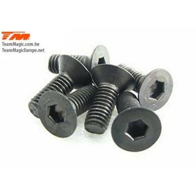 [˾ũ] 126308 [TEAM MAGIC] 3x8mm Steel F.H. Screw (6)
