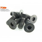 [TEAM MAGIC] 3x8mm Steel F.H. Screw (6)