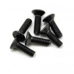 [TEAM MAGIC] 3x10mm Flat Head Screw (6)