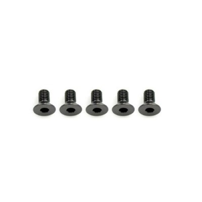 [˾ũ] AM-14CS3006-G [ARROW MAX] Alu Screw allen countersunk M3x6 Gray (7075) (5) (÷Ʈ)