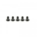 [ARROW MAX] Alu Screw allen countersunk M3x6 Gray (7075) (5) (÷Ʈ)
