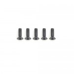 [ARROW MAX] Alu Screw allen countersunk M3x10 Gray (7075) (5) (÷Ʈ)