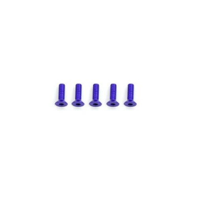 [˾ũ] AM-14CS3010-P [ARROW MAX] Alu Screw allen countersunk M3x10 Purple (7075) (5) (÷Ʈ)