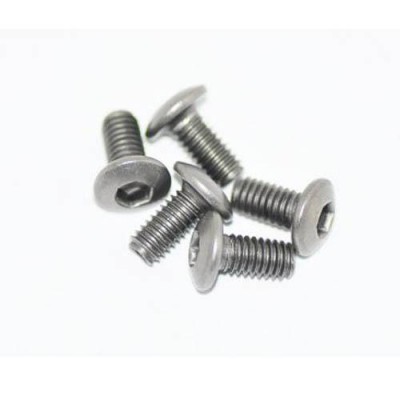 [˾ũ] AM-15RH4008 [ARROW MAX] Titanium Screw allen round head M4x8 (5) (Ƽź)