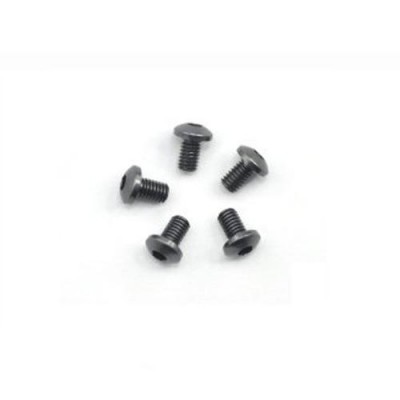 [˾ũ] AM-14RH3005-G [ARROW MAX] Alu Screw allen roundhead M3x5 Gray (7075) (5) (÷Ʈ)