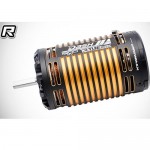 [ARROW MAX] Dash R-Tune Sensored Brushless Motor For 1/8 Car 2650KV