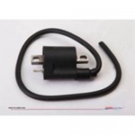 Ignition Coil for Engine 26CC (545B43)