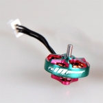RCINPOWER GTS V3 1002 19000KV  (1, )
