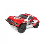 [TEAM ASSOCIATED] AAK90039 Pro2 DK10SW Dakar Buggy RTR, red/white