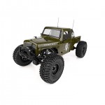 [TEAM ASSOCIATED] AAK40117 Enduro Ecto Trail Truck, green RTR