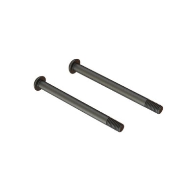 [˾ũ] ARA727448 [ARRMA] ARA727448 Screw Hinge Pin M4x48mm (2)