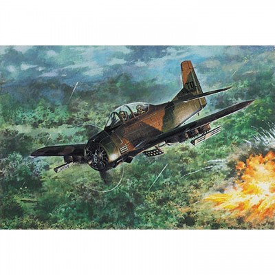 [˾ũ] BG-RD1070450 [RODEN] BG-RD1070450 1/48 North American T-28D Trojan