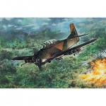 [RODEN] BG-RD1070450 1/48 North American T-28D Trojan