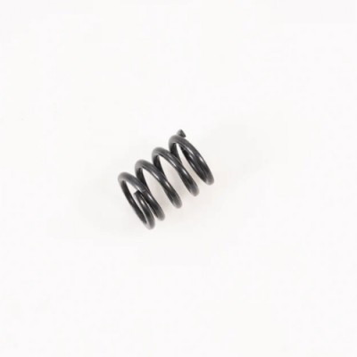 �˾���ũ APSC22069 [ROC HOBBY] 1:10 F100 Servo Saver Spring