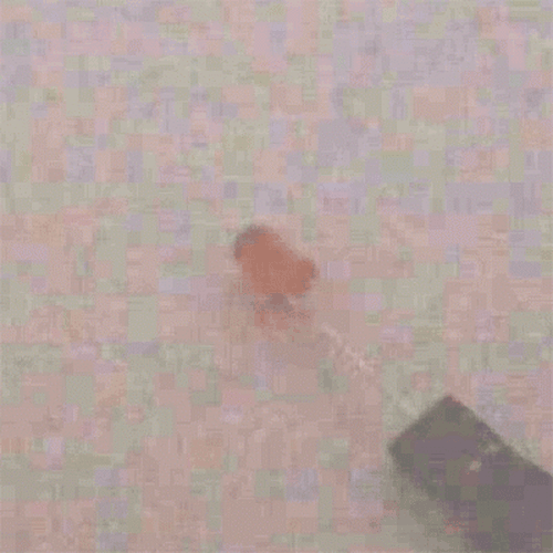 �˾���ũ YK-544DRC 5���� ����Ÿ�� ������ ���ֵ� LED - RED (����) 1��