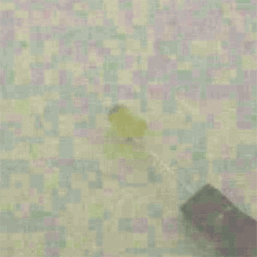 �˾���ũ YK-544DYC 5���� ����Ÿ�� ������ ���ֵ� LED - Yellow (���) 1��