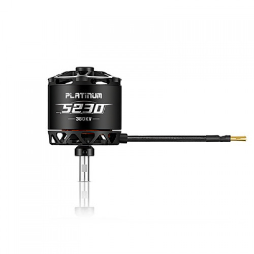 �˾���ũ 30416201 [HOBBYWING] Platinum 5230SL 220KV �귯������ ����