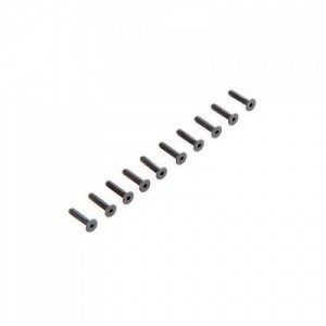 Flat Head Screws M2.5x12mm (10)