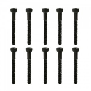 Cap Head Screws M3x25mm (10)