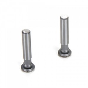 [TLR Racing] Hinge Pins, 4 x 21mm TiCN (2): 8IGHT 4.0  ������