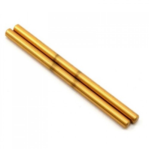 �˾���ũ LOSB4102 [TEAM LOSI] Losi Inner Hinge Pins, TiNi (LST/2,XXL-2) (2) �ɼ�