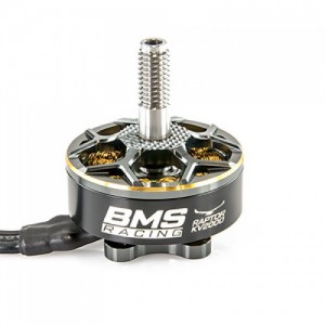 [T-MOTOR] BMS Racing Raptor Series 2306.5 2000kv ���̵̽�� �귯������ ����