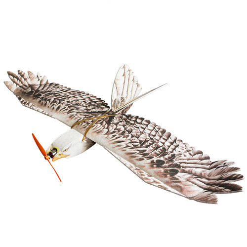 �˾���ũ  [DWHOBBY] 1430mm EPP Eagle Airplane KIT