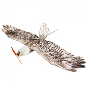 [DWHOBBY] 1430mm EPP Eagle Airplane KIT