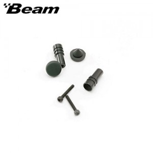 [Beam] ������ 550 ĳ���� ���̵�