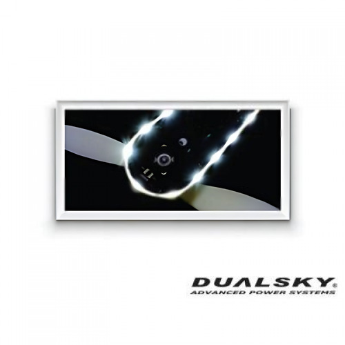 �˾���ũ DS21041 [DUALSKY] H-LED, Green, Large(10pcs)