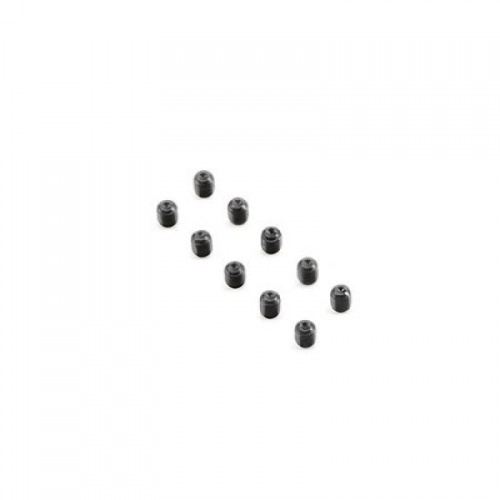 �˾���ũ TLR255032 [TLR Racing] Setscrew, Cup Point, M5x6mm (10)