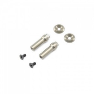 [TLR Racing] Aluminum Battery Mount Post Set: 22 4.0  �ɼ�