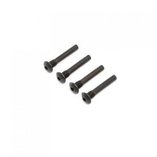 �˾���ũ LOS254052 [TEAM LOSI] Hinge Pin Screw, Outer (4): Super Baja Rey