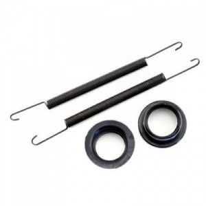 [TEAM LOSI] EXHAUST HEADER SEALS, SPRINGS - LST