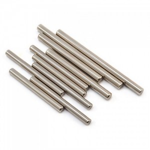 [TEAM LOSI] Hinge Pin Set: 22S